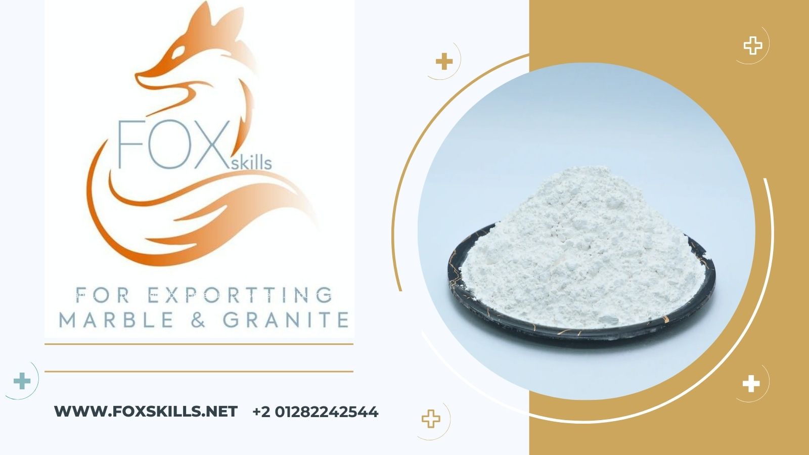 شركة فوكس سكيلز FoxSkills تفتح آفاق التوريد والتصدير للأسواق العالمية